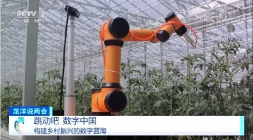 構建鄉村振興的數字藍海 構建鄉村振興的數字藍海