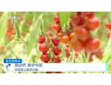 株洲市兩會關注數字農業，構建鄉村振興的數字藍海